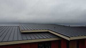 Best Steel Roofing  in USA